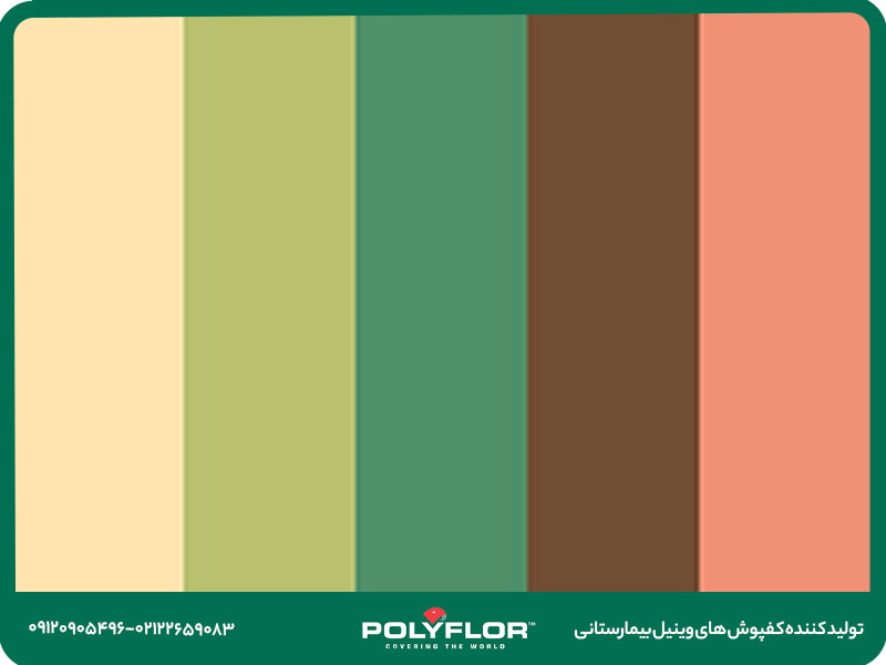 color-scheme-2024-